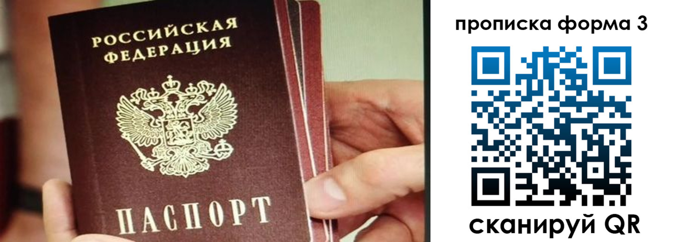 прописка законно в Куровском